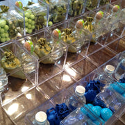 Purim  Program : Option 1