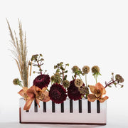 Acrylic Menorah By Apeloig Collection