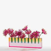 Acrylic Menorah By Apeloig Collection