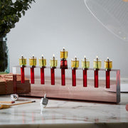 Acrylic Menorah By Apeloig Collection