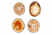 Pedra Set of 4 Coasters By Rablabs